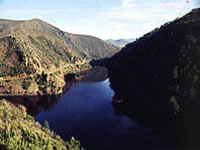 navea
